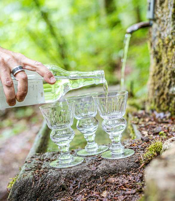 Absinthe - Voyage au pays de la fée verte