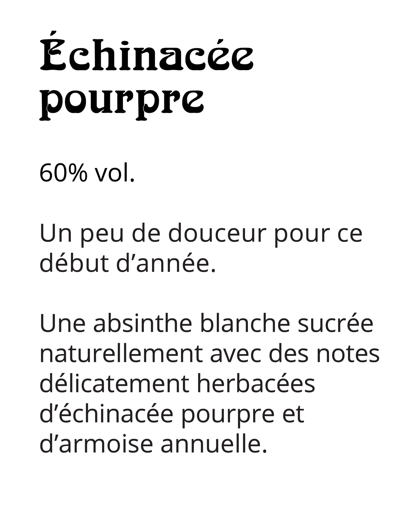 Mensuelle - Janvier 2026 - Échinacée pourpre