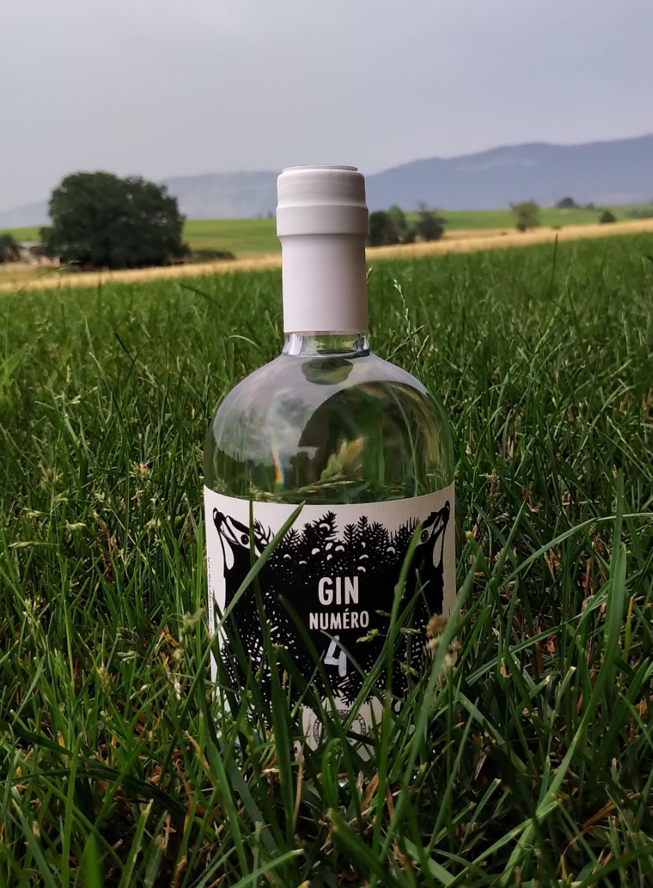 Gin n°4