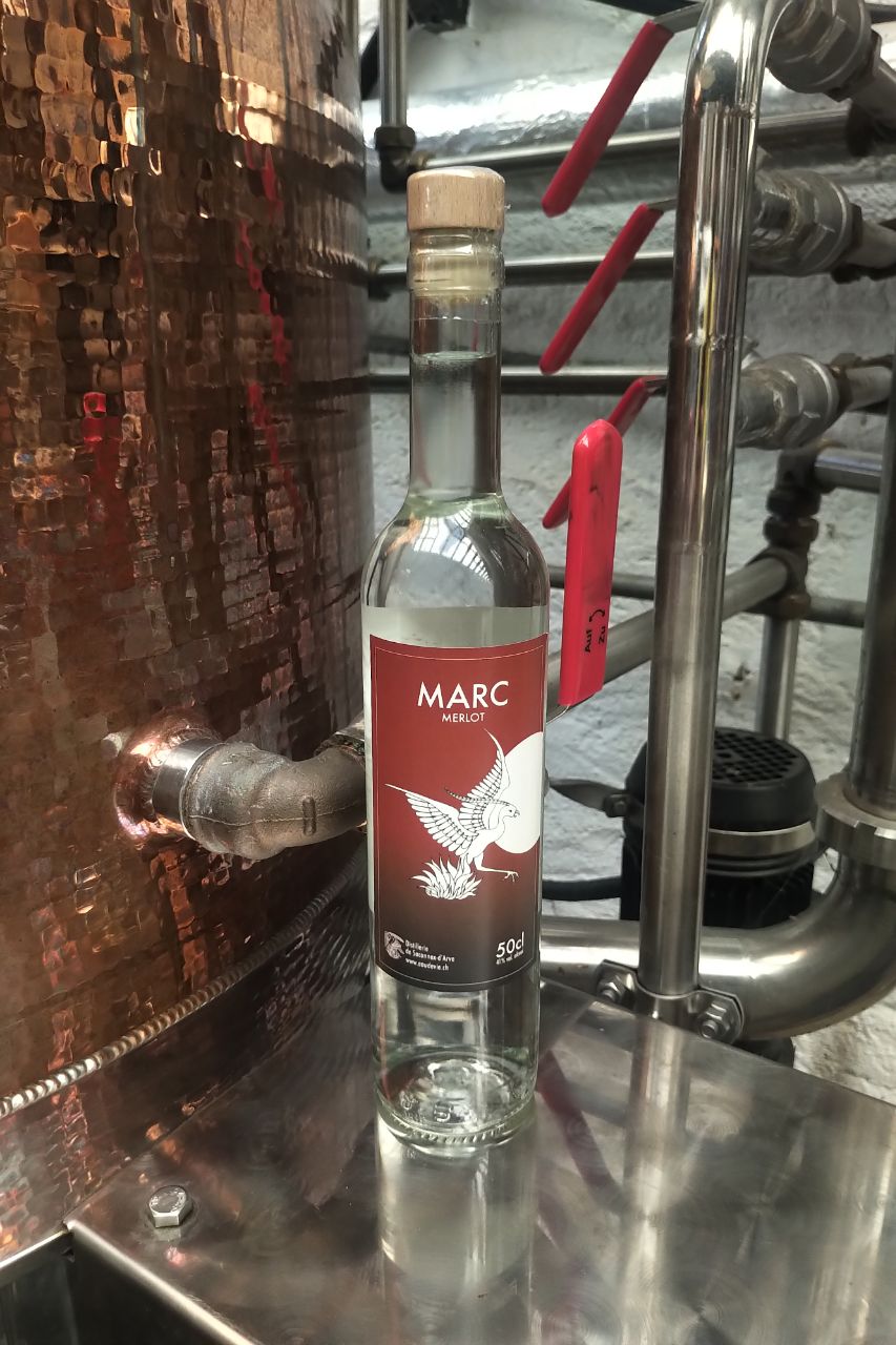 Marc de Merlot