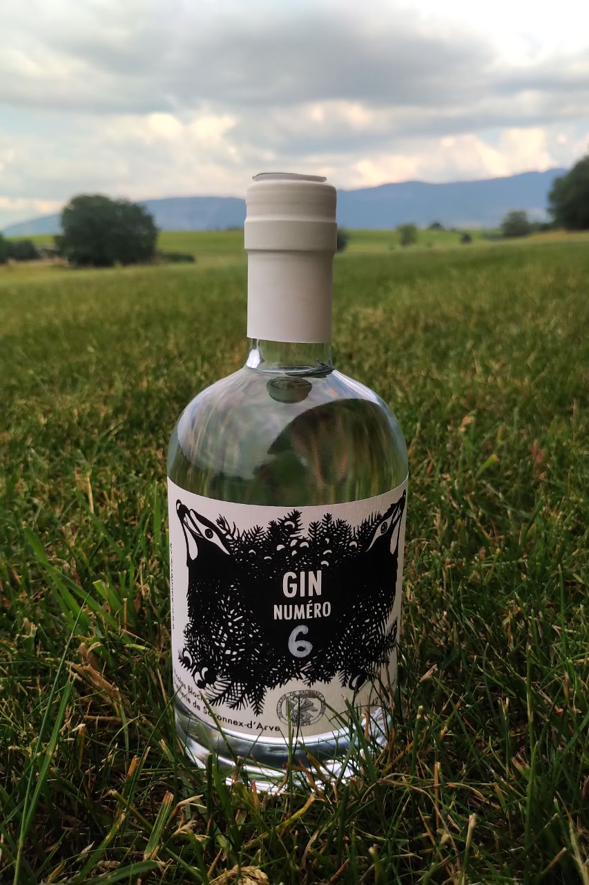 Gin n°6