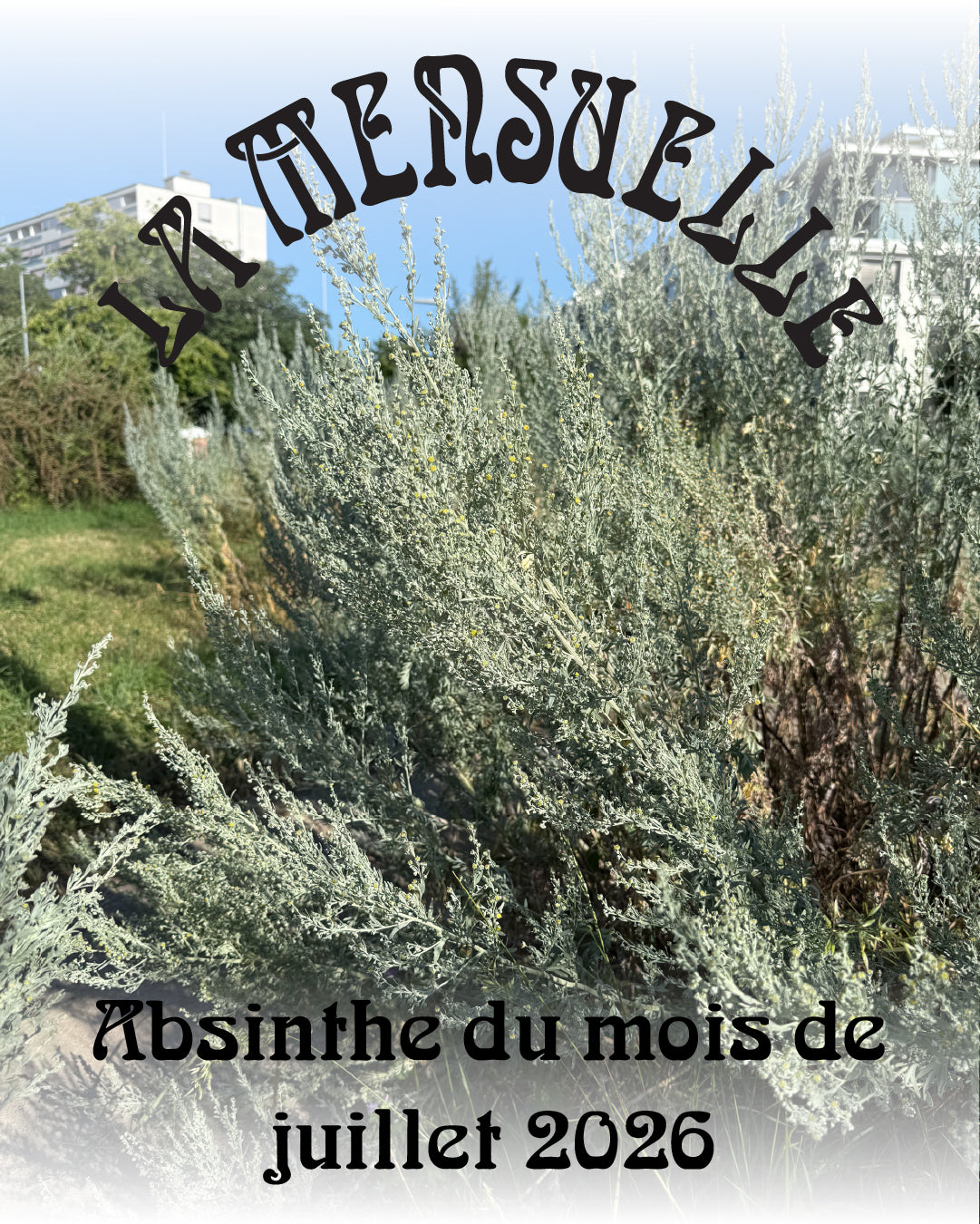 Mensuelle - Juillet 2026 - Voies de St-Jean